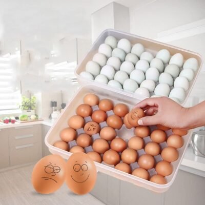 34 Eggs Tray Holder with Lid