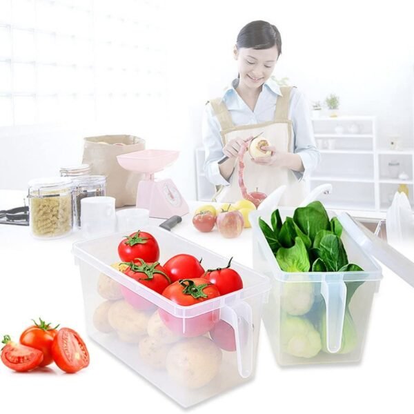 Kitchen Rack Shelf Storage Containers Refrigerator Freezer and Fridge Container Boxes