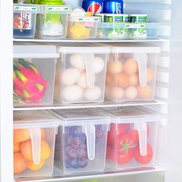 Kitchen Rack Shelf Storage Containers Refrigerator Freezer and Fridge Container Boxes