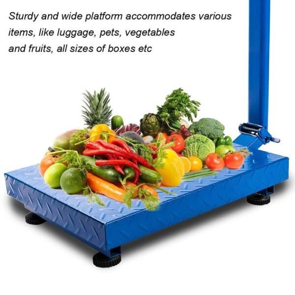 TCS Heavy Duty 300kgs Platform