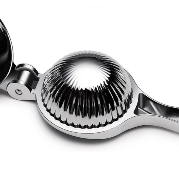 lemon squeezer