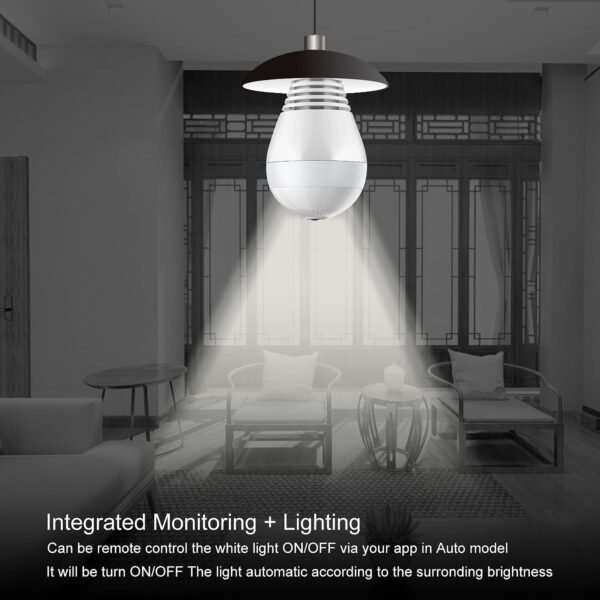 Nanny camera bulb with light