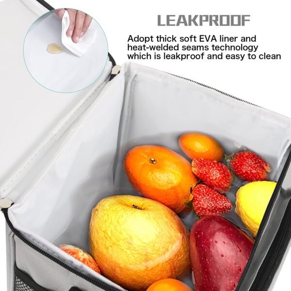 Insulated Lunch Bag