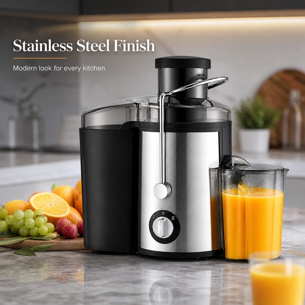 Reki-800w-juice-extractor-stainless-steel-finish
