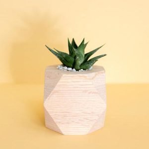 mong-bui-515633-unsplash-1.jpg mong-bui-515633-unsplash-1.jpg